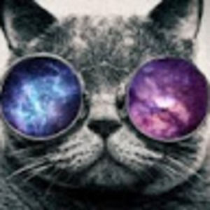 Meet your Posher, Malcolm veganlife